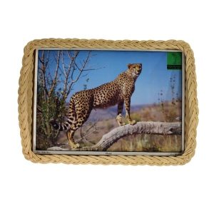PICTURE TRAY