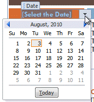 a date field will show a calendar so that you can choose the date more easily