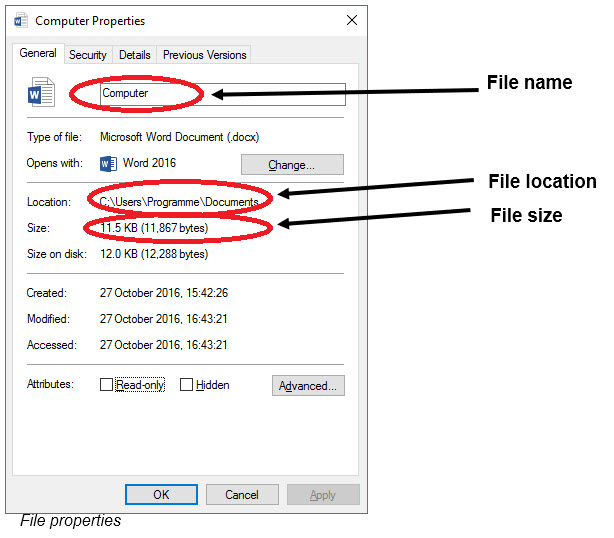 Display file folder properties