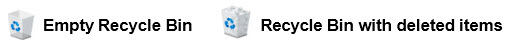 The Recycle Bin is empty or not