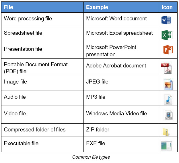 common file types